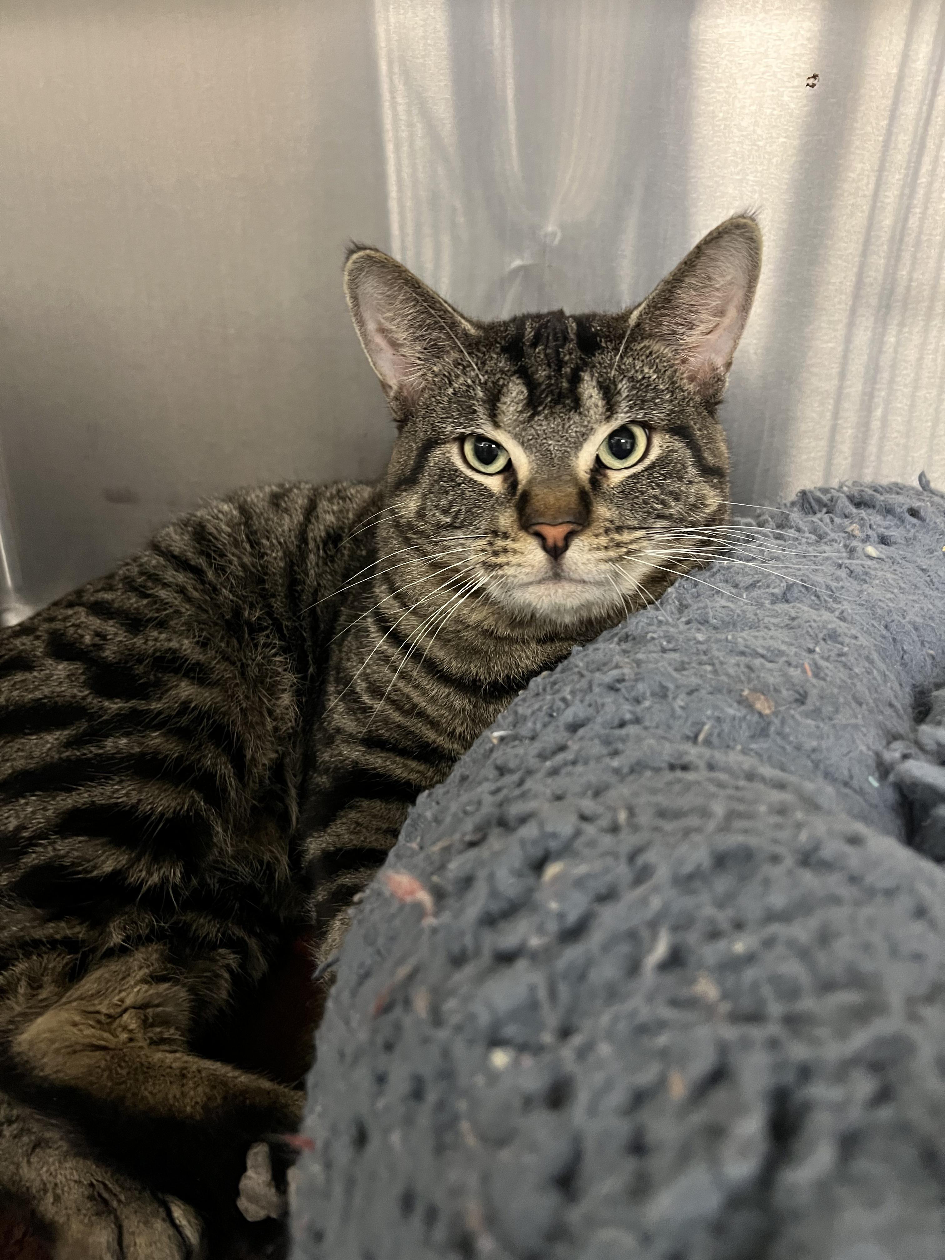 Fudge & Churro thumbnail 2