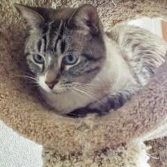Frankie photo 3