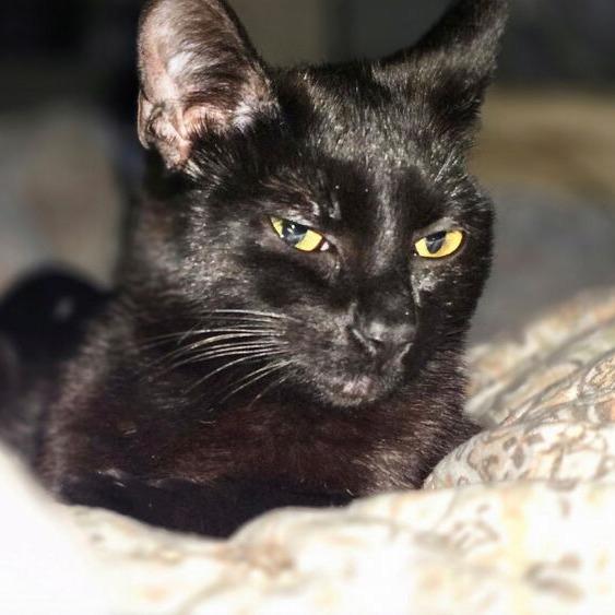 Hannah — thumbnail 2