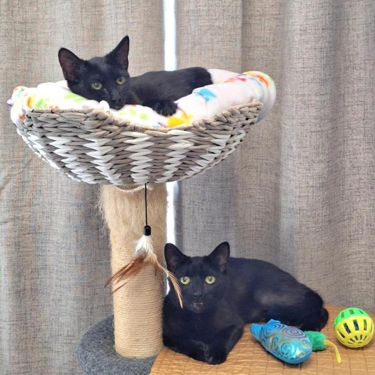 Hannah — thumbnail 3