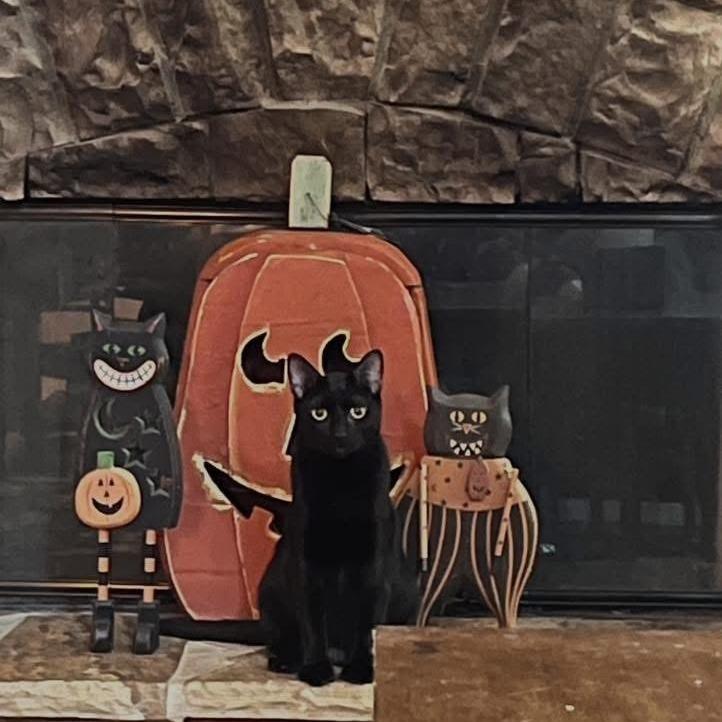 Hannah — thumbnail 4