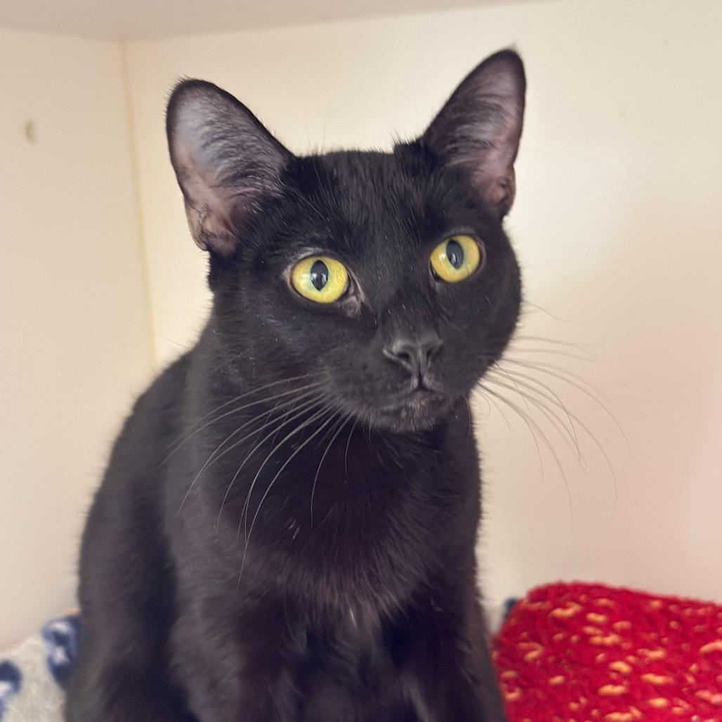 Hannah — thumbnail 5