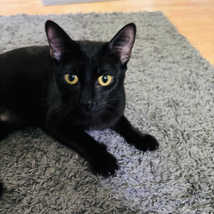 Hannah — thumbnail 6