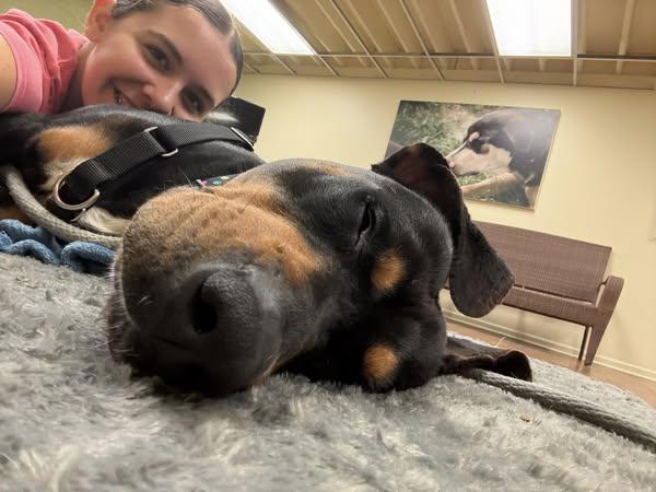 Enlarge Silas, an adoptable mixed breed in Lake Odessa, MI image 2/6