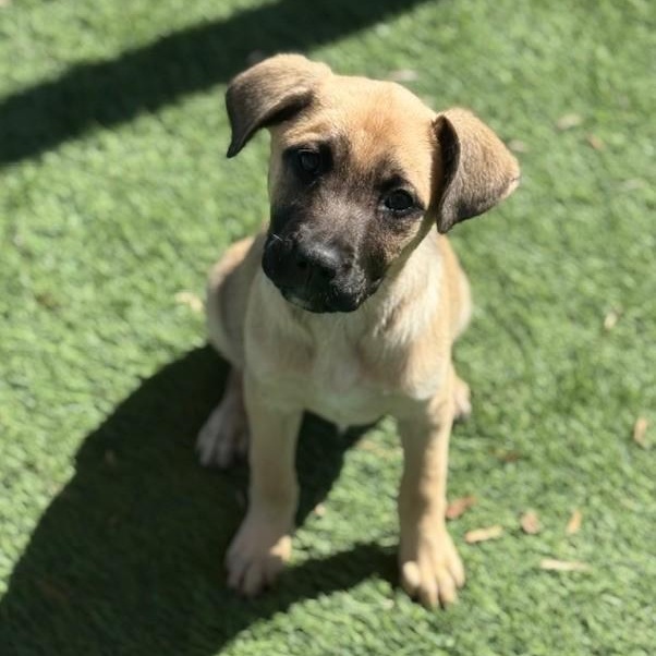 Lucy — thumbnail 2