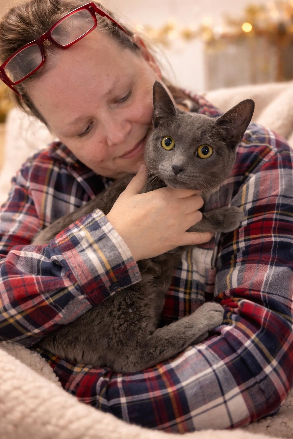 Blueberry Napa, Adopted, Young Female Russian Blue.
