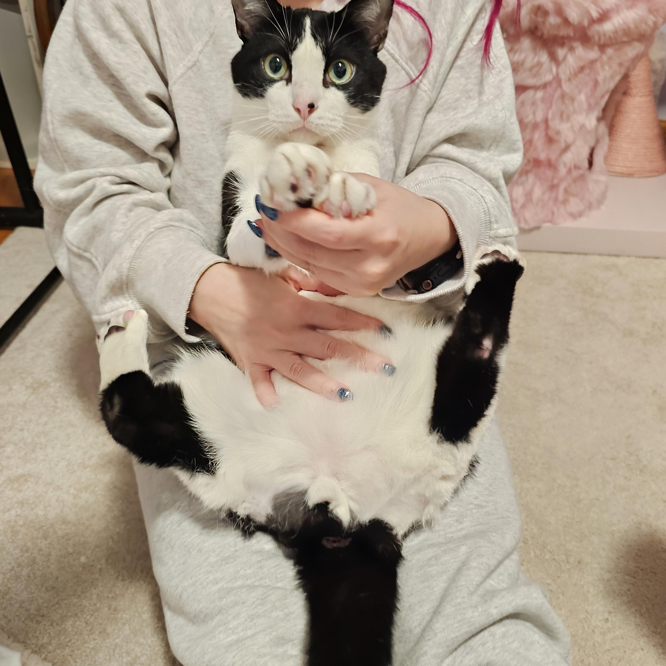 Frankie