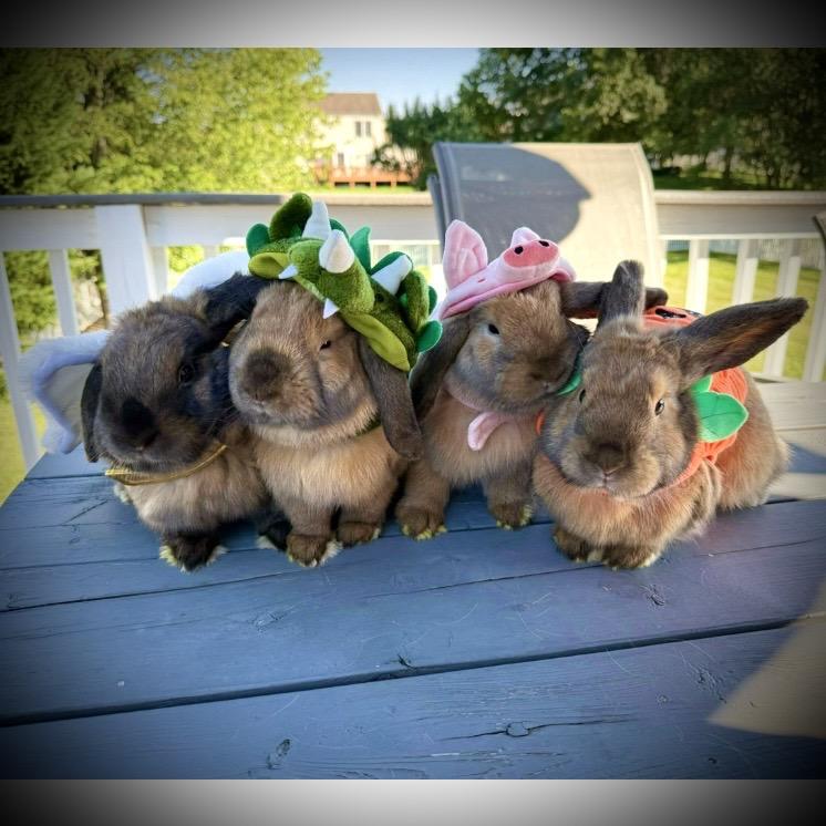 Poppy, Heather, Daisy, & Alyssa