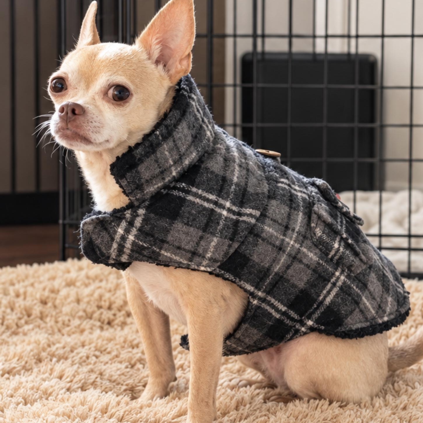 Enlarge Luna 99.00 ADOPTION FEE, a Adoptable mixed breed in Scarborough, ON image 3/6