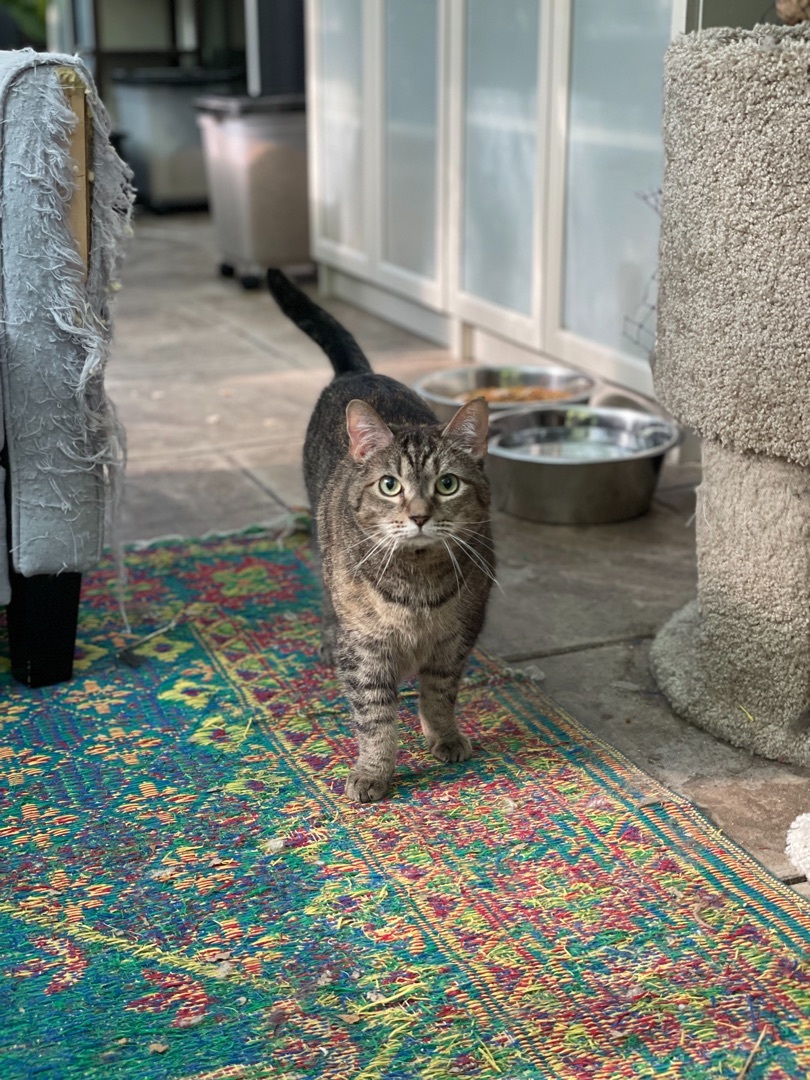 Luna 3542 photo 1