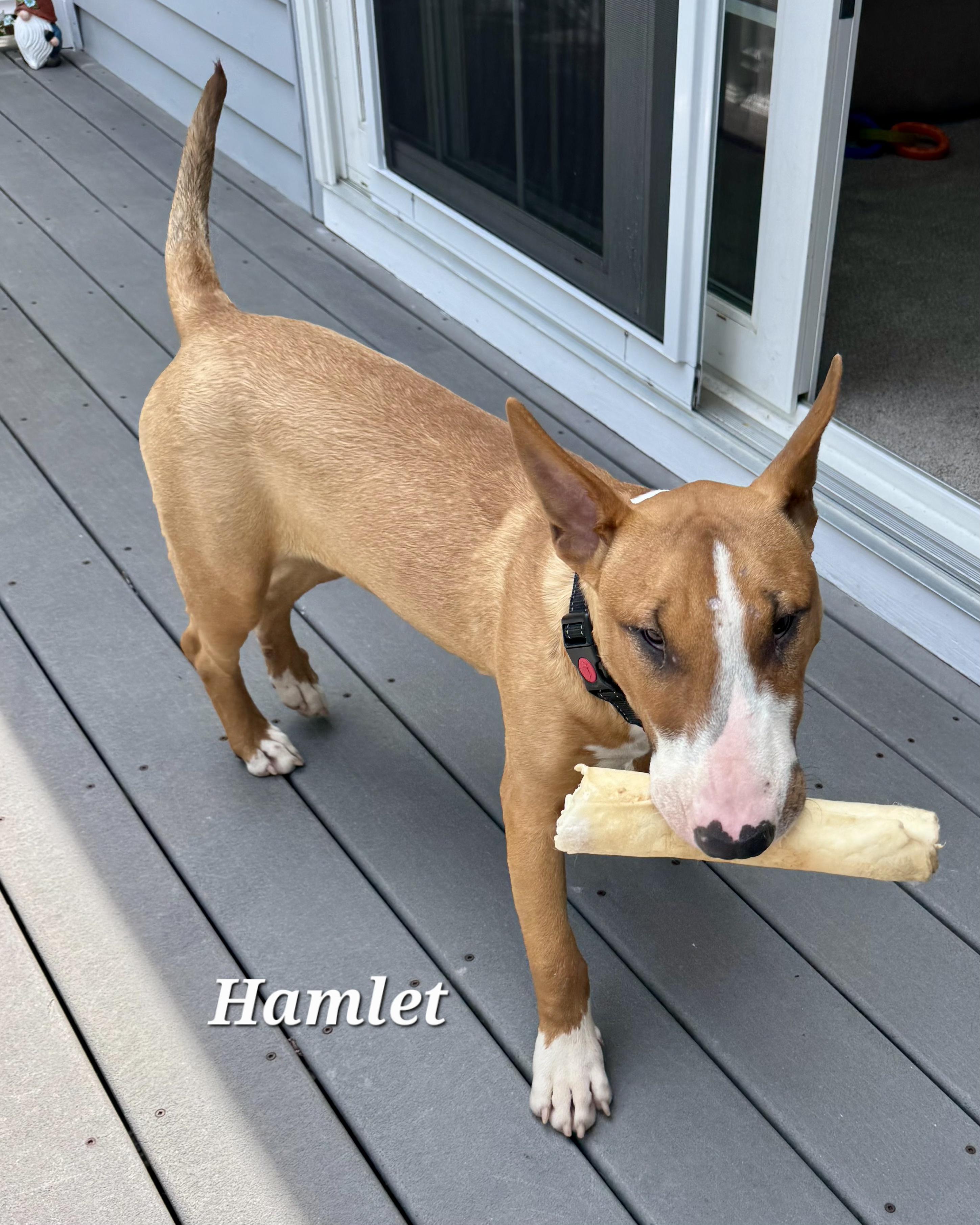 Hamlet