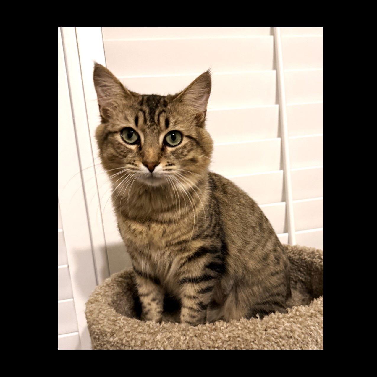 Jaden — thumbnail 3