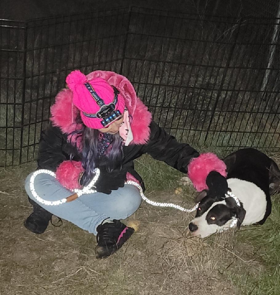 Enlarge Stark, a Adoptable mixed breed in Selma, CA image 2/11