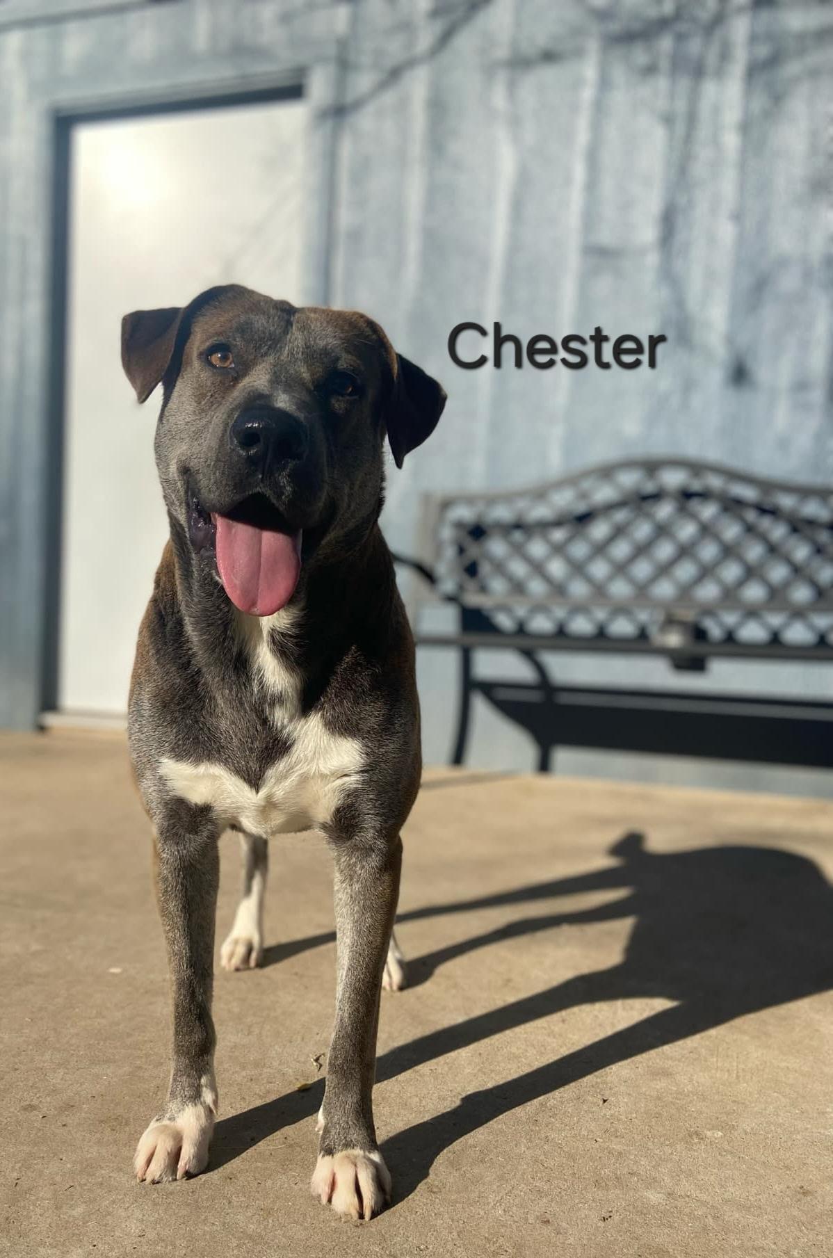 Chester