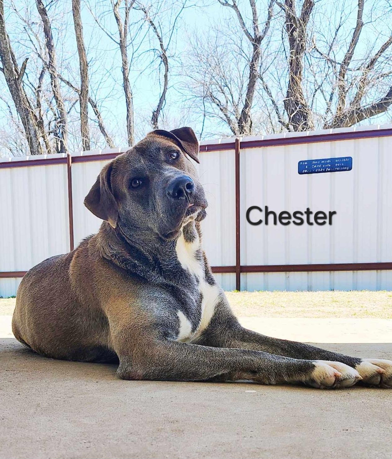 Chester