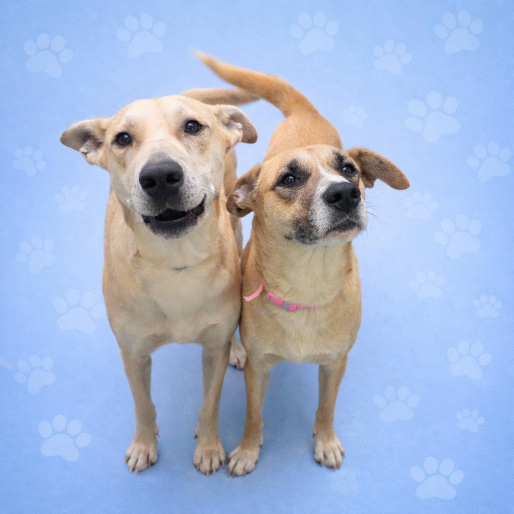 Izzy — thumbnail 2