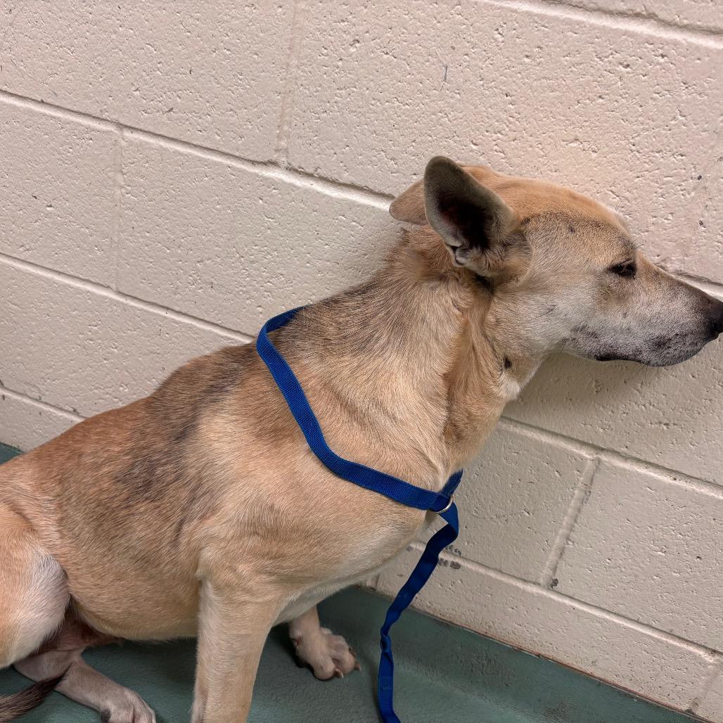 Izzy — thumbnail 3