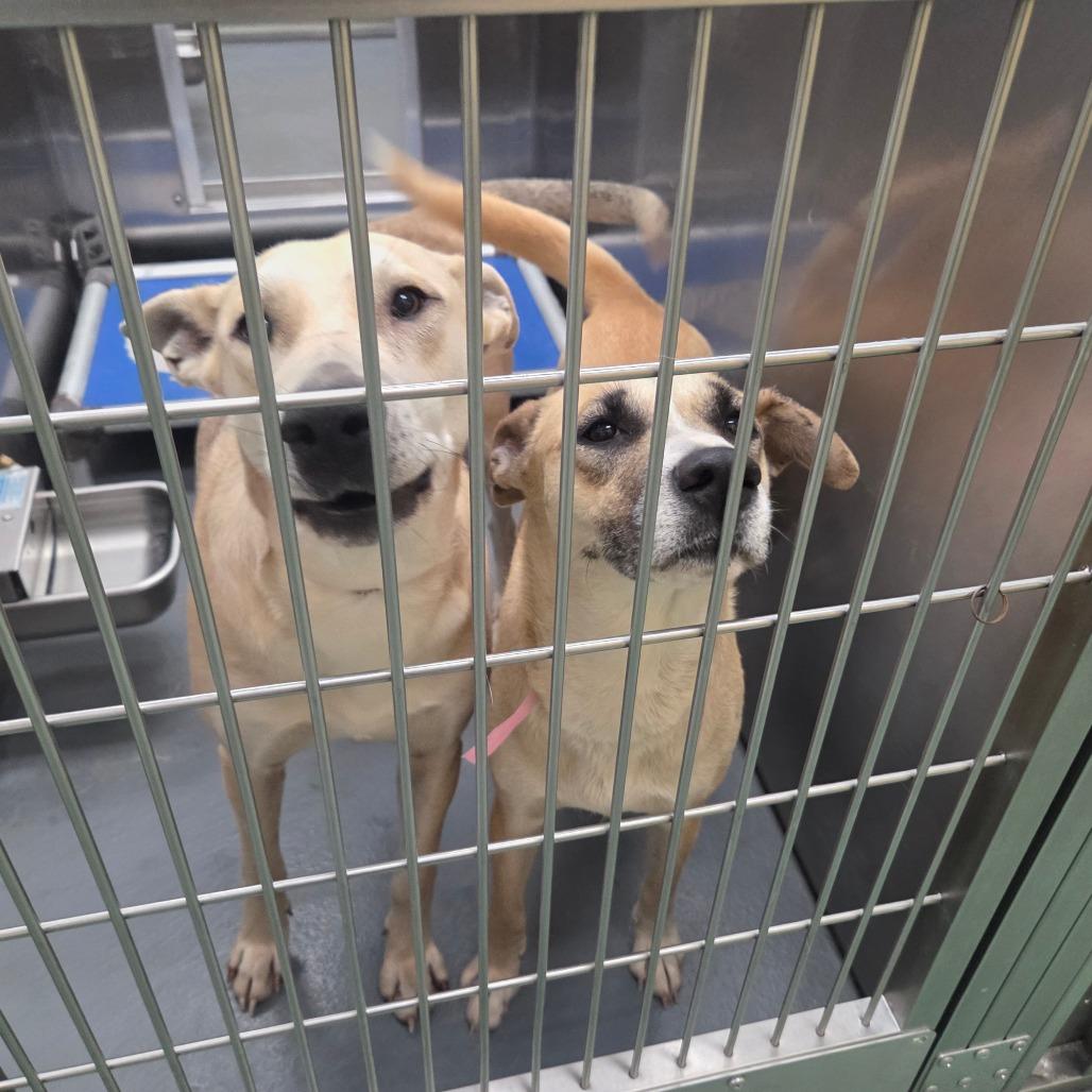 Izzy — thumbnail 4