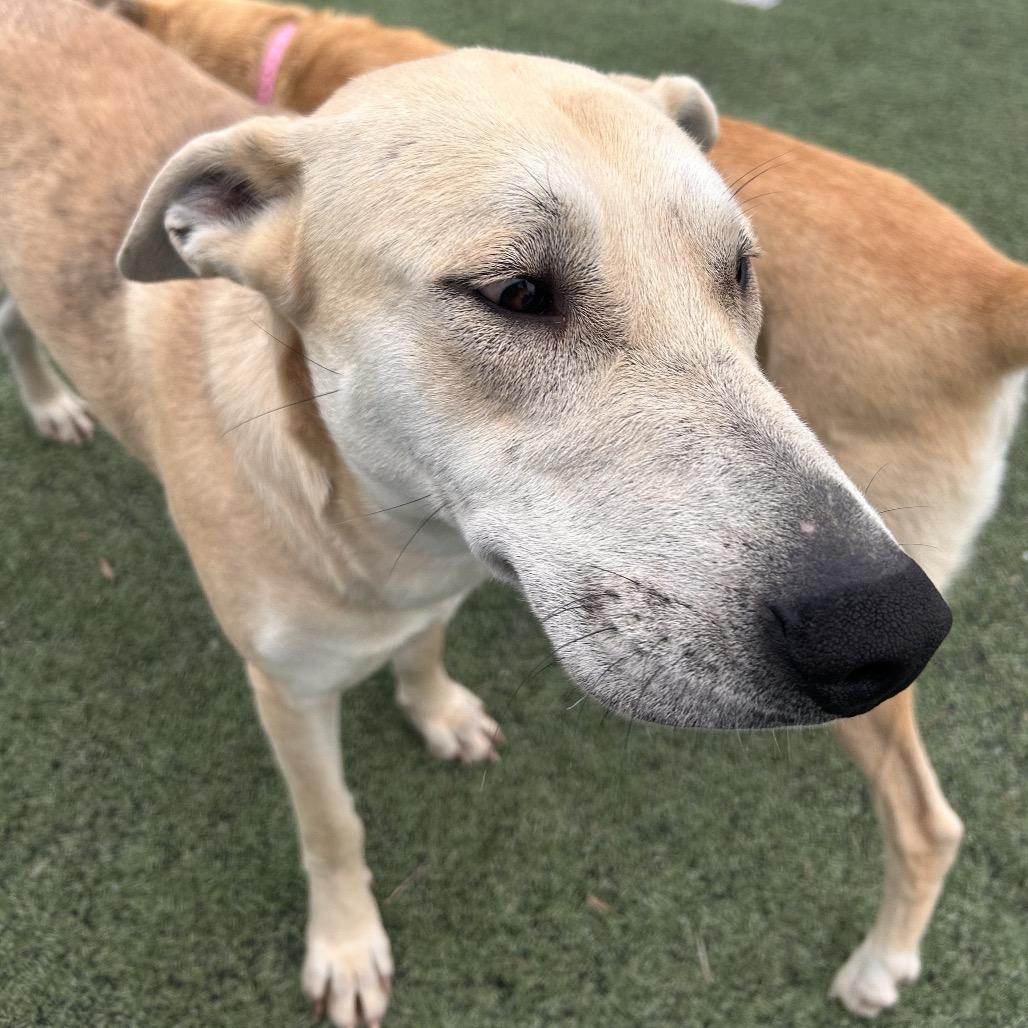 Izzy — thumbnail 5