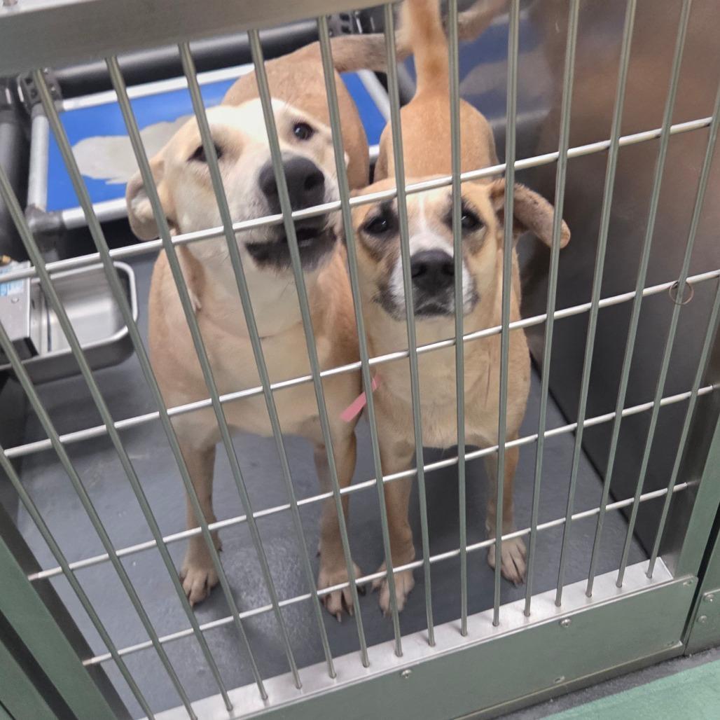 Izzy — thumbnail 6