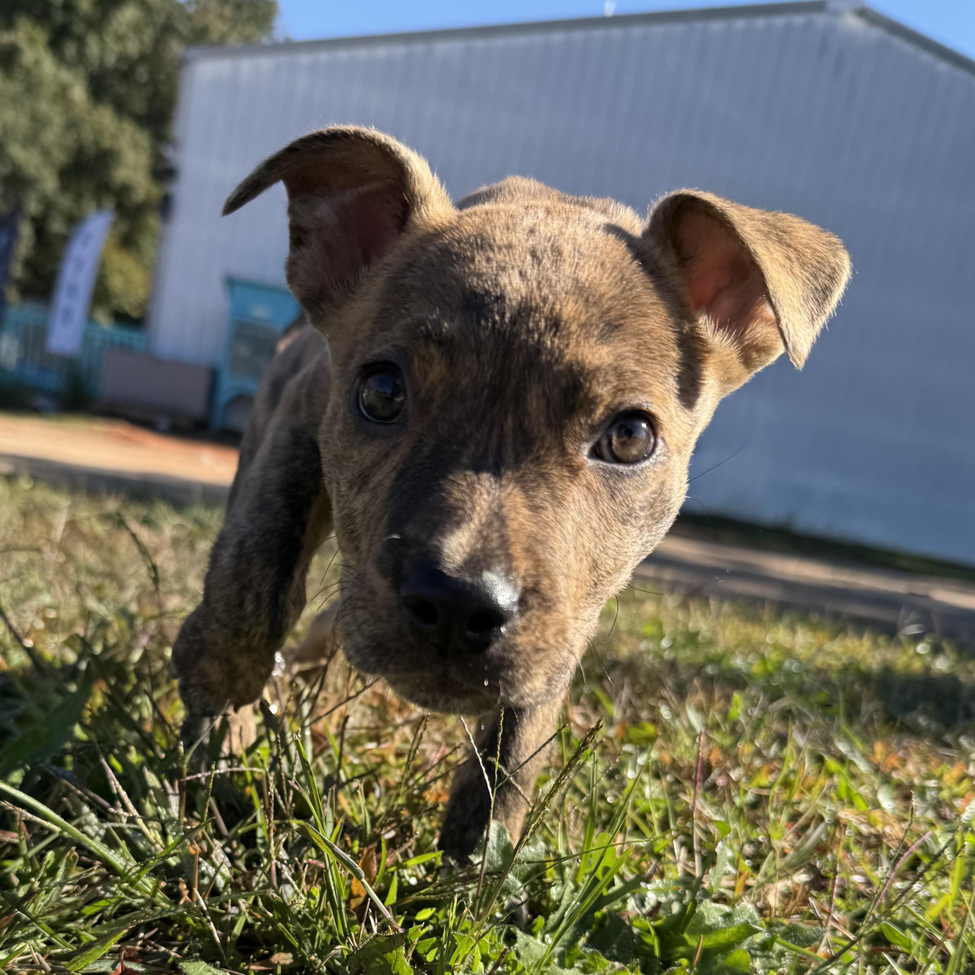 Holiday Season thumbnail 3