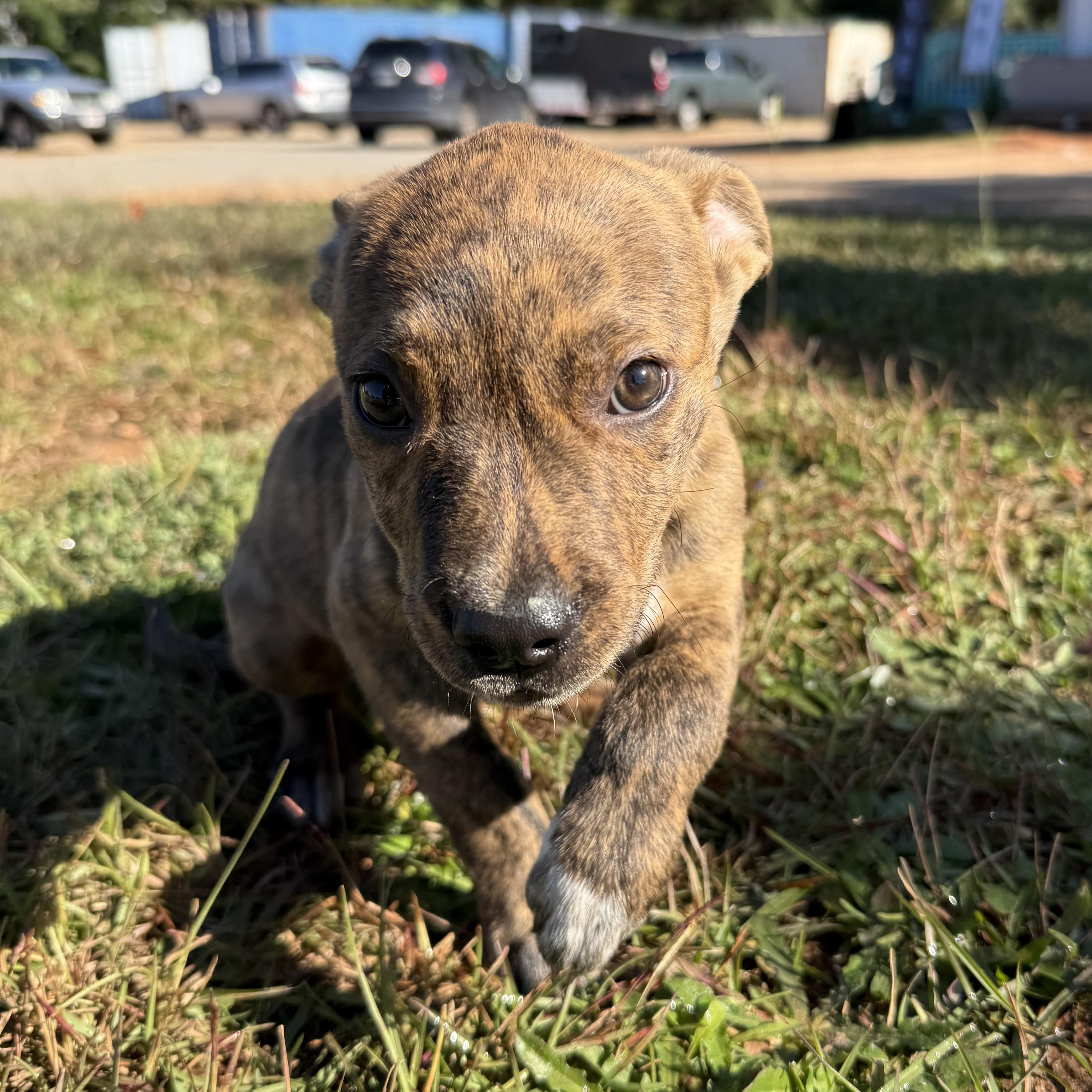 Holiday Season thumbnail 2