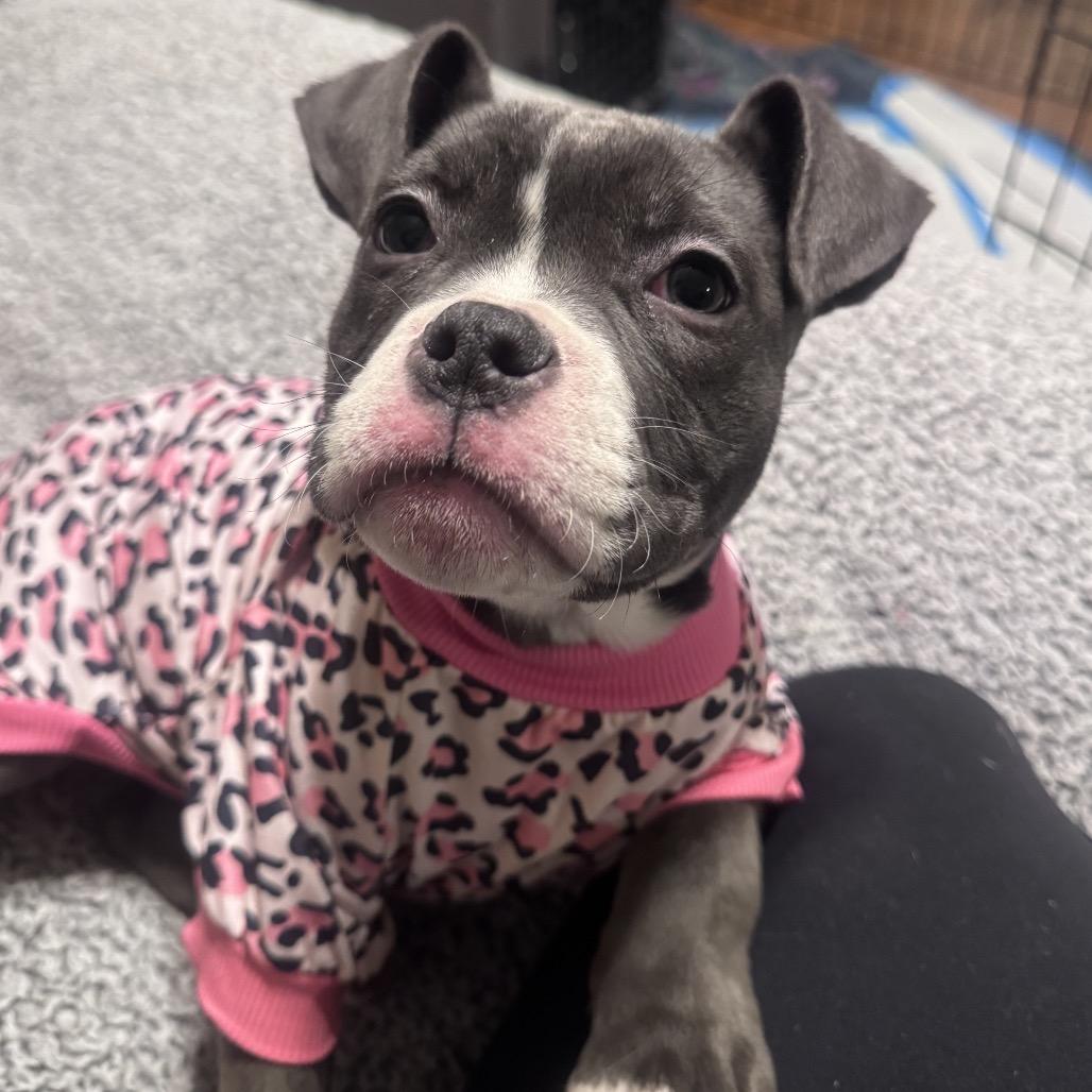 Lucy (fka Beatrix) — thumbnail 2