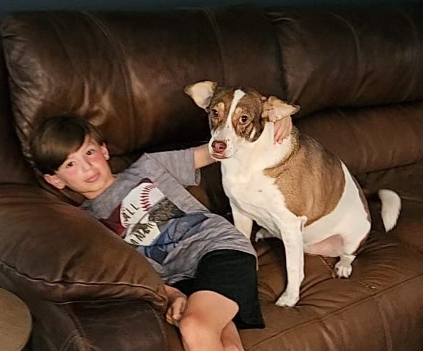 Miley, a Adoptable mixed breed in Houston, TX image 6/6