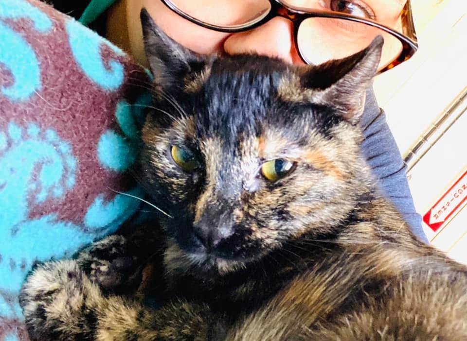 Tillie — thumbnail 3