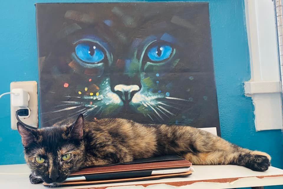 Tillie — thumbnail 5