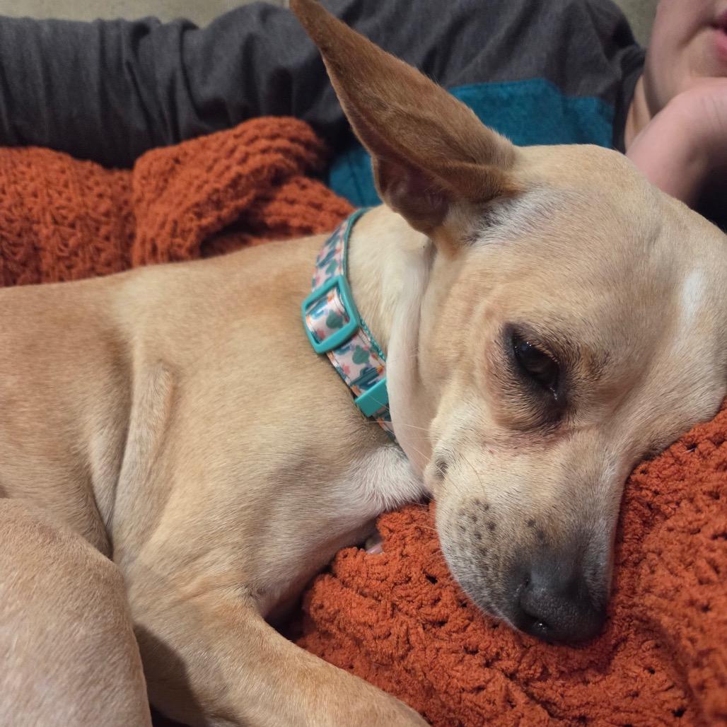 Lilly — thumbnail 2