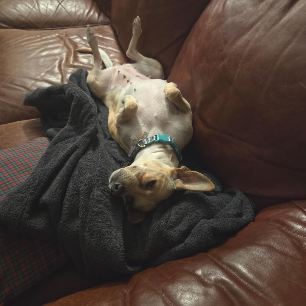 Lilly — thumbnail 3