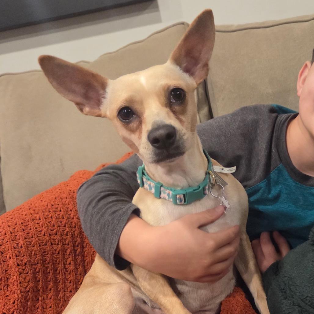 Lilly — thumbnail 4