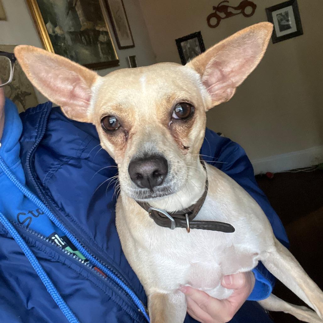 Lilly — thumbnail 5