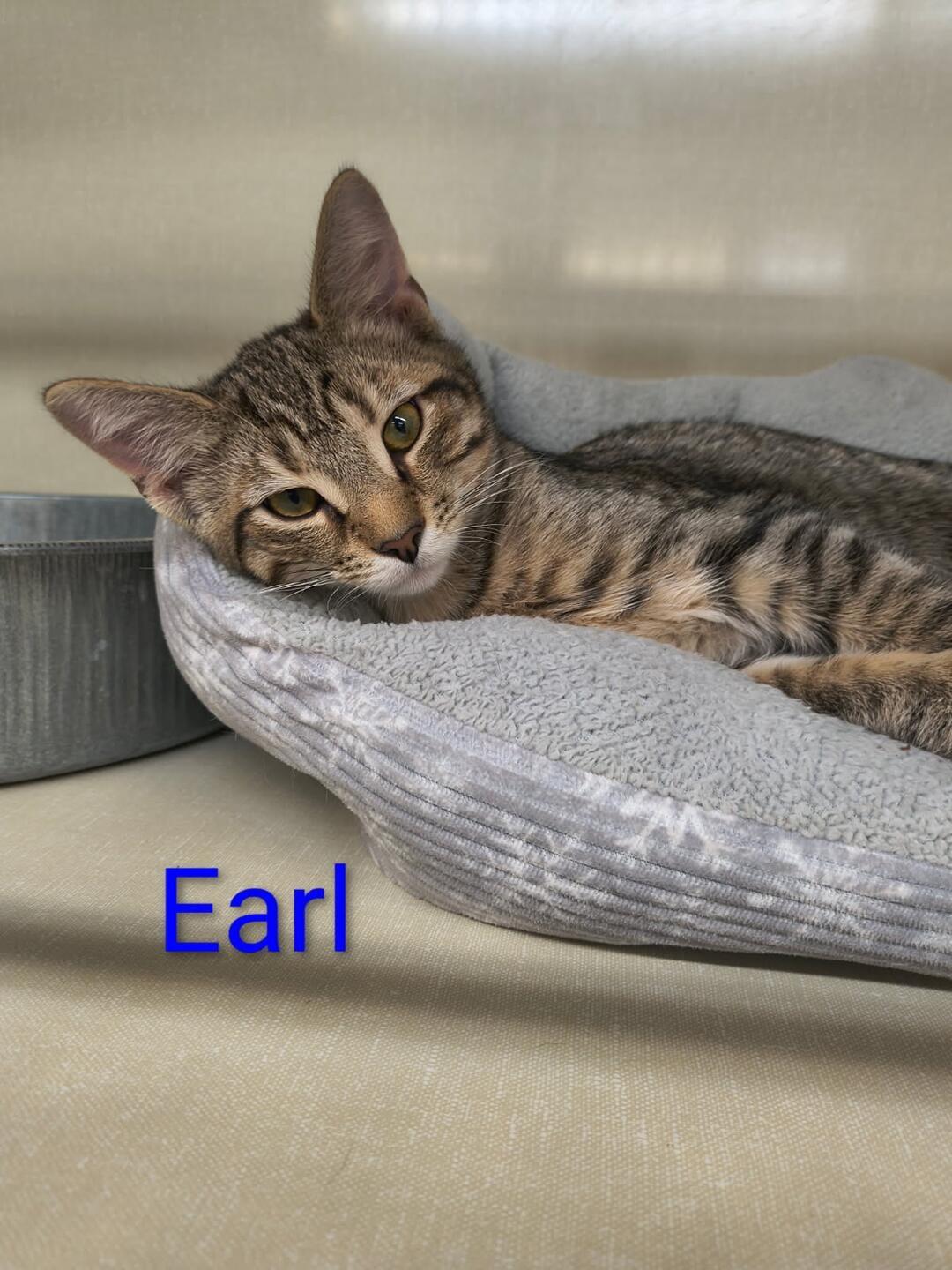 Earl