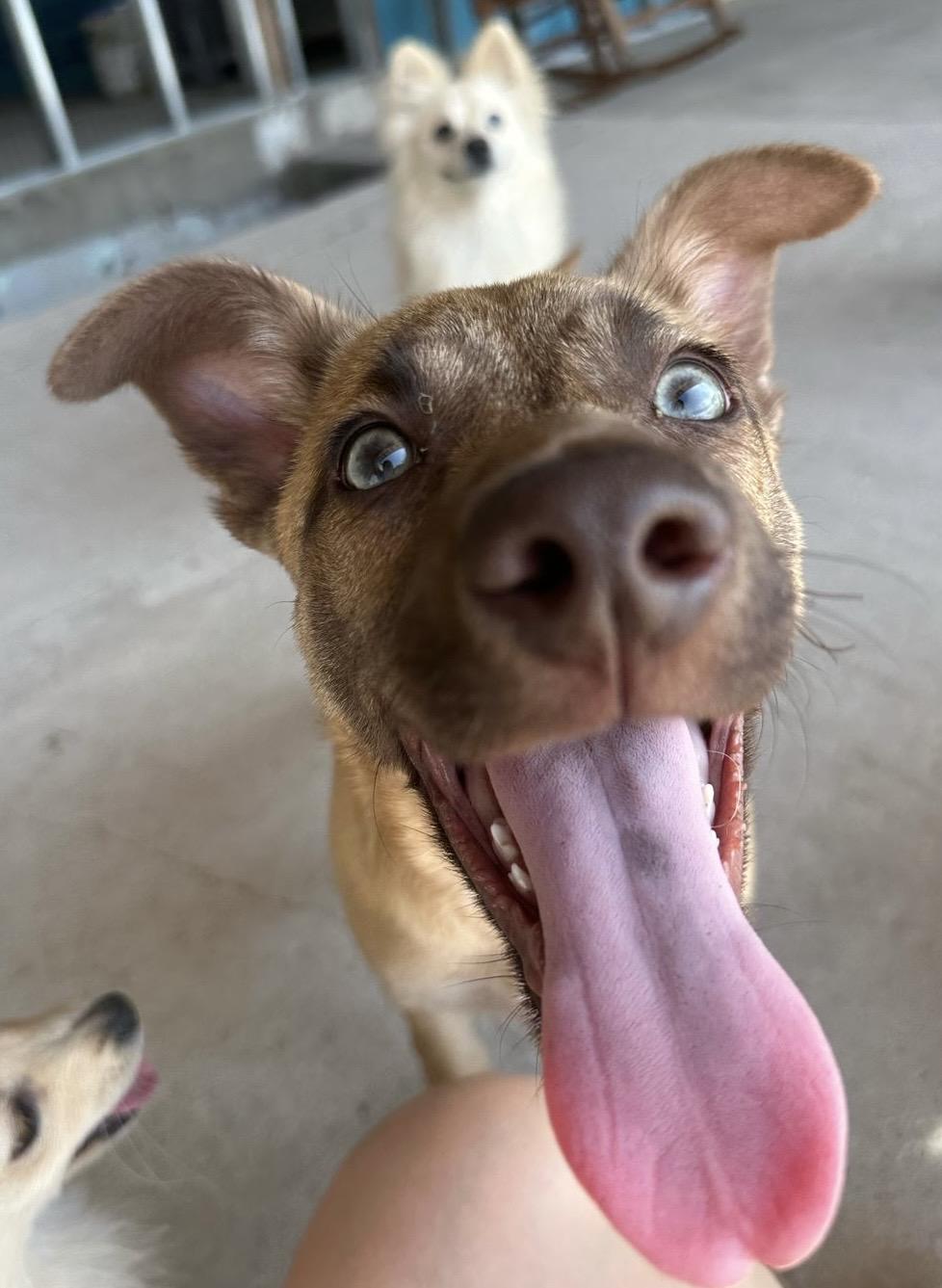 PENNY