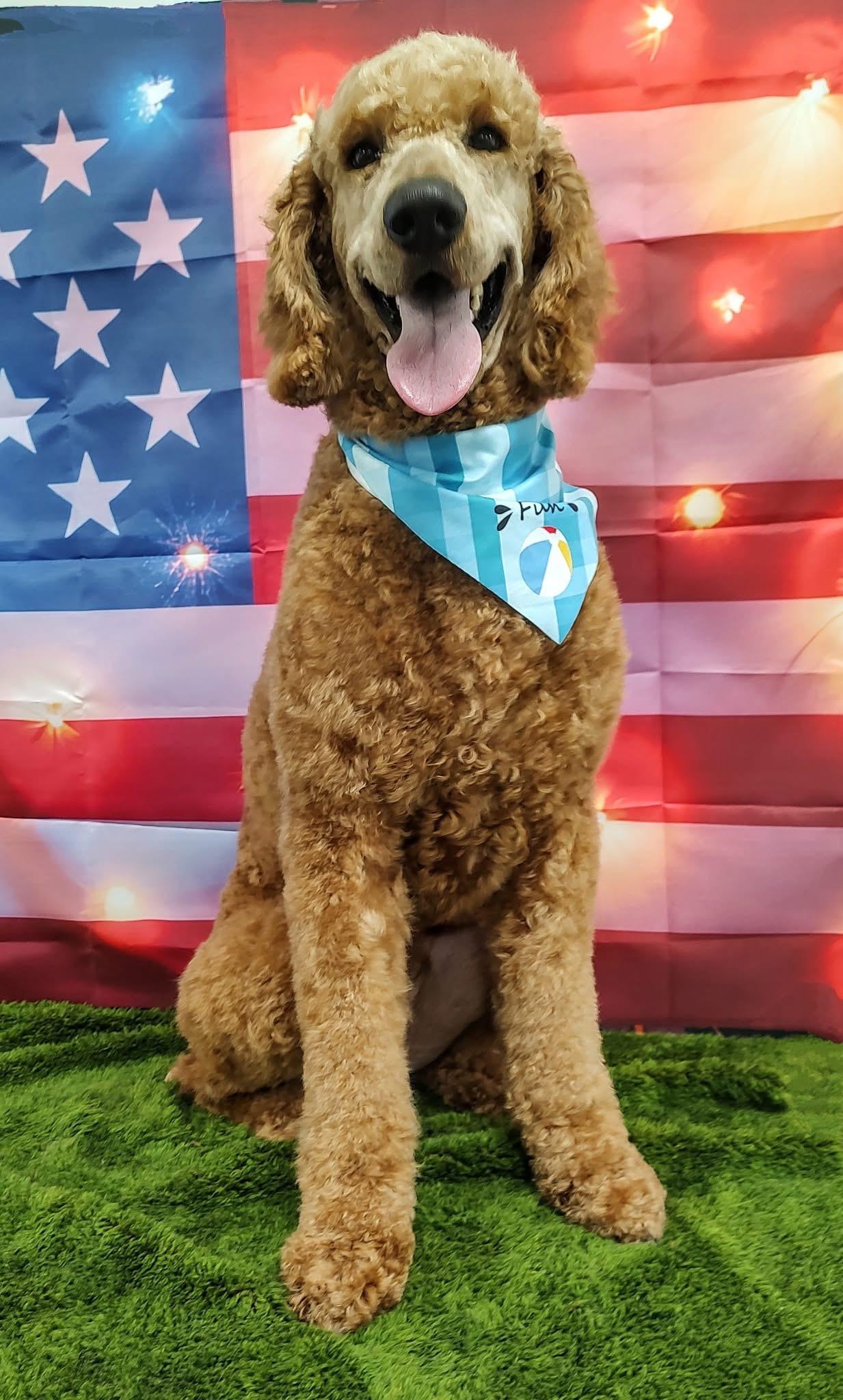 Sully photo 1