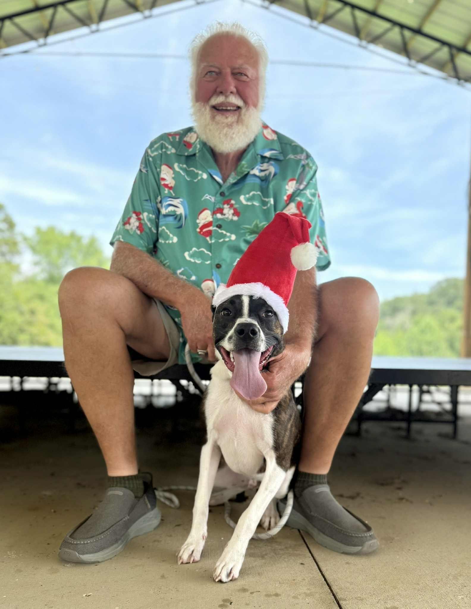 Enlarge Harry, a Adoptable mixed breed in Winston-Salem, NC image 6/6