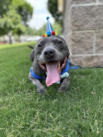 Creed 6-24 — thumbnail 2