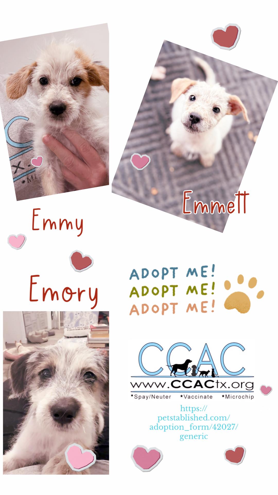 Emmett  Emory  thumbnail 5