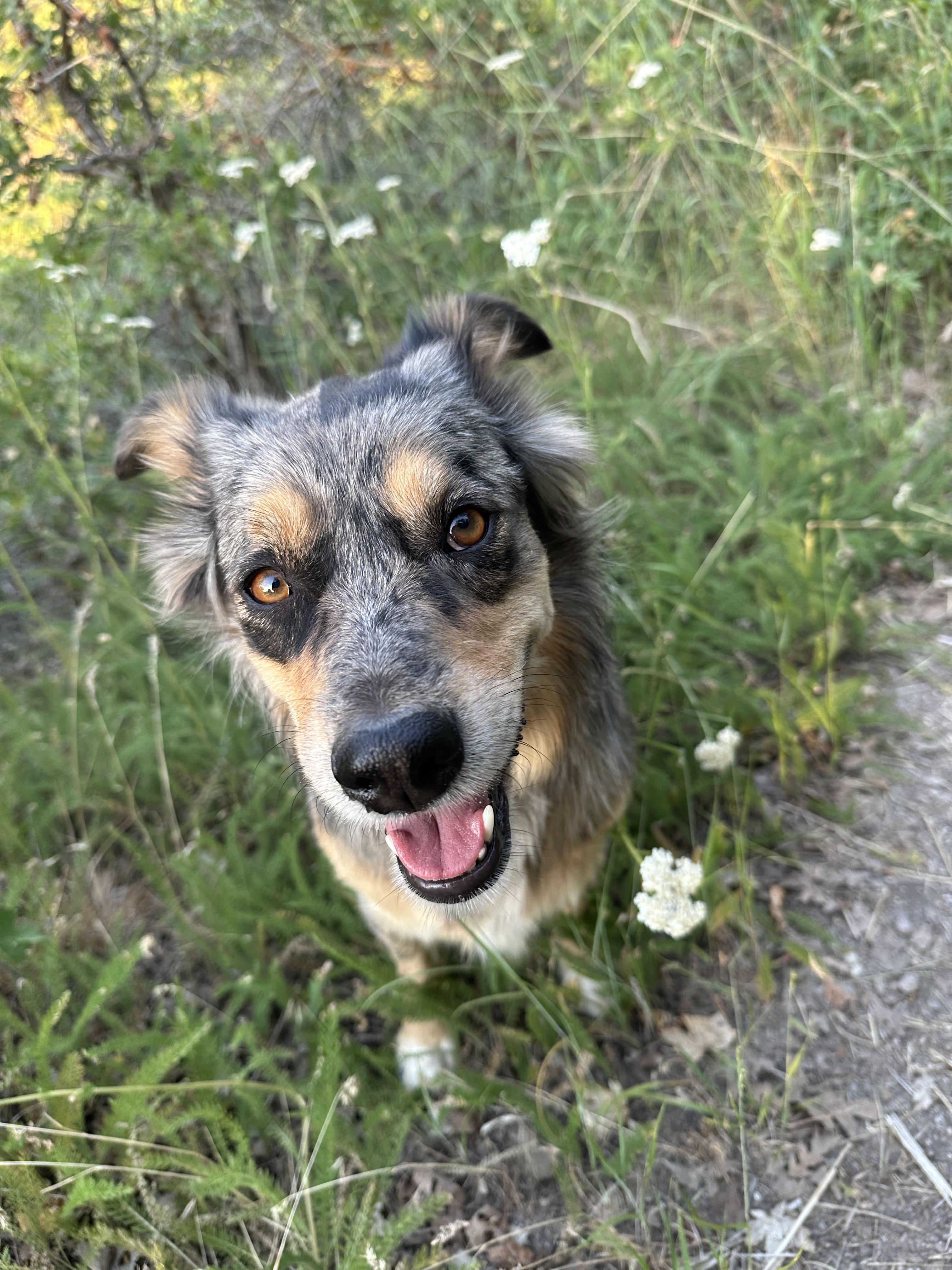 Anya