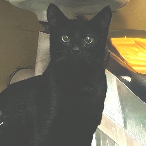 Harry — thumbnail 2