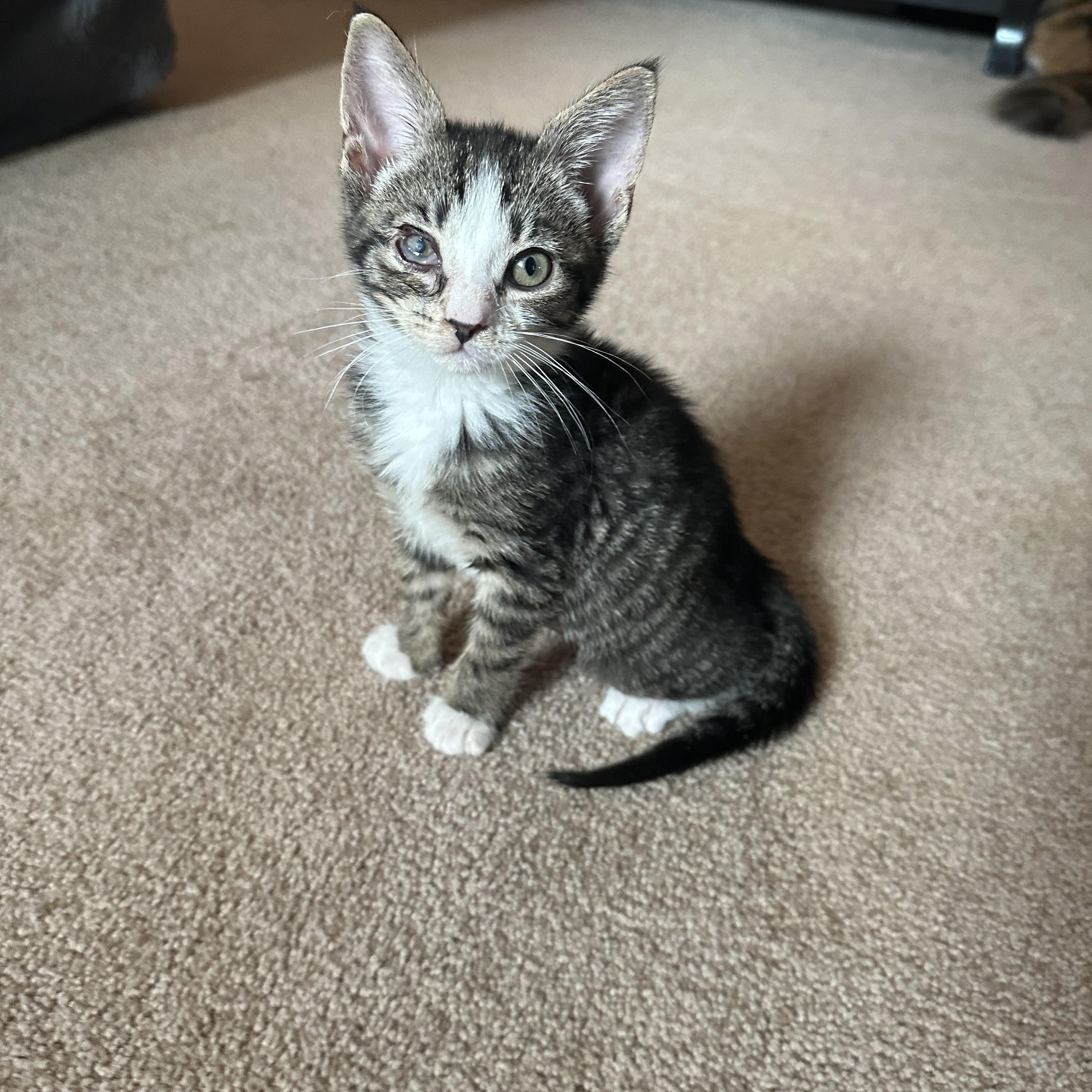Leni, Baby Female unknown