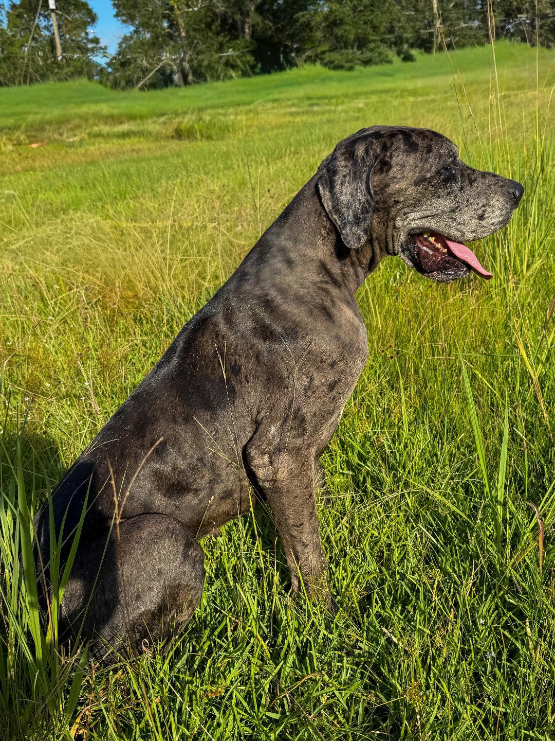 Oakley