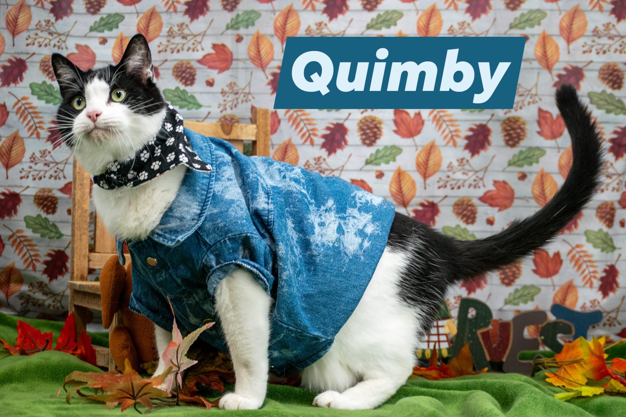 Quimby