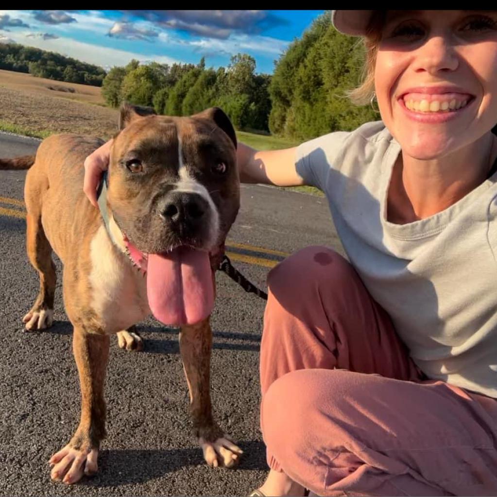 Meatloaf, a Adoptable mixed breed in Mount Vernon, IN image 3/6