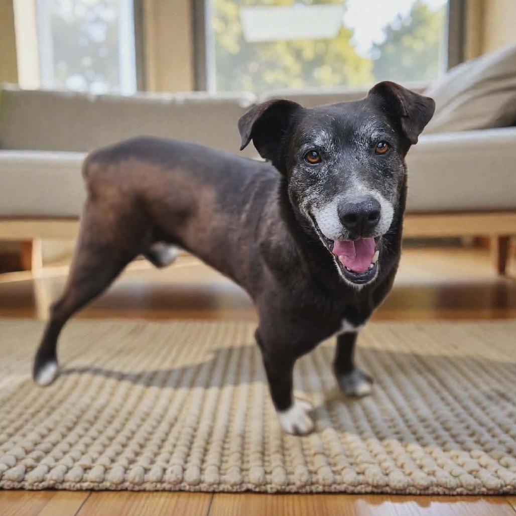 Thomas — thumbnail 3