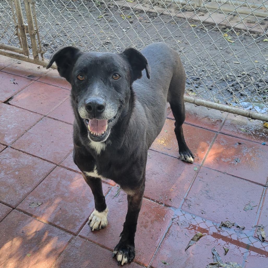 Thomas — thumbnail 4