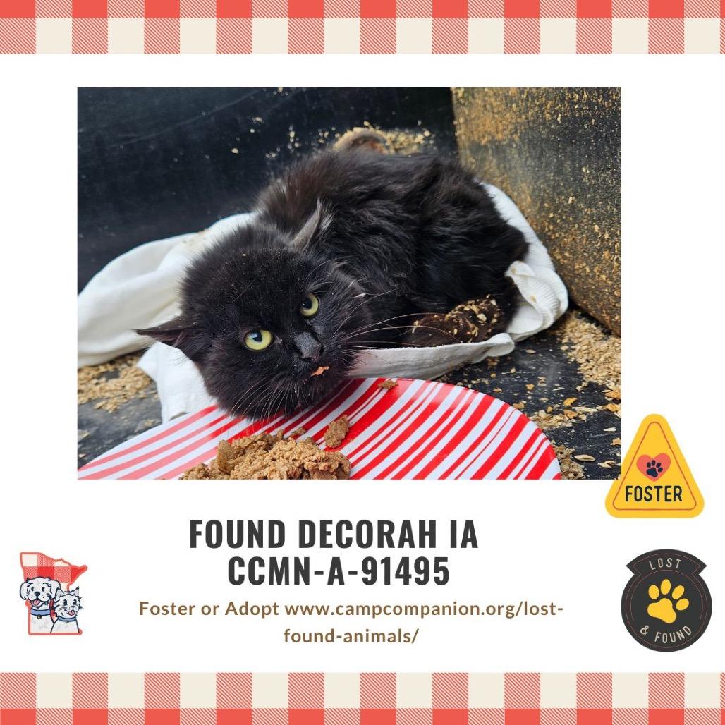 Jasmine — thumbnail 4