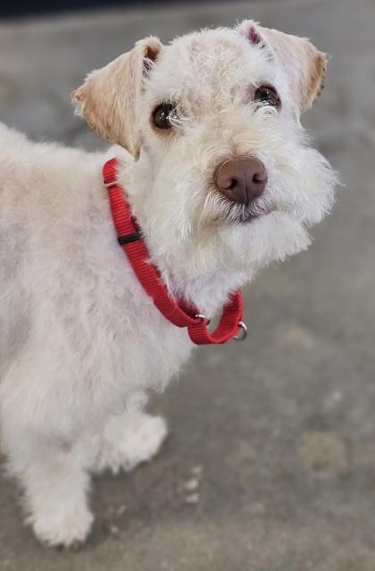 Enzo FKA Spritz — thumbnail 3